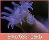         

:  apr27.jpg
:  429
:  56,3 KB