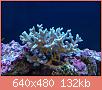         

:  IMG_2818.JPG
:  678
:  131,5 KB