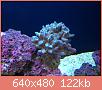         

:  IMG_2819.JPG
:  690
:  121,7 KB