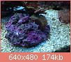         

:  IMG_2841.JPG
:  698
:  174,4 KB