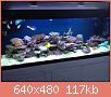         

:  IMG_2833.JPG
:  760
:  116,8 KB