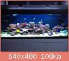         

:  IMG_2824.JPG
:  684
:  107,8 KB