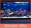         

:  IMG_2968.jpg
:  708
:  65,4 KB