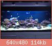         

:  IMG_2963.JPG
:  647
:  113,9 KB