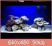         

:  IMG_3021.JPG
:  328
:  90,3 KB