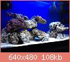         

:  IMG_3023.JPG
:  322
:  108,4 KB