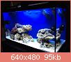        

:  IMG_3024.JPG
:  309
:  94,9 KB