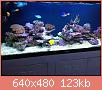         

:  1086.JPG
:  601
:  123,0 KB