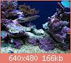         

:  1088.JPG
:  634
:  166,4 KB