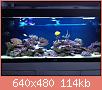         

:  1089.JPG
:  616
:  113,7 KB