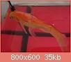         

:  IMG_20160518_161527935.jpg
:  988
:  35,3 KB