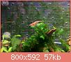         

:  shrimp.jpg
:  422
:  57,4 KB