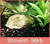         

:  shrimps.jpg
:  579
:  86,1 KB