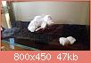         

:  20160703_153318.jpg
:  404
:  46,7 KB