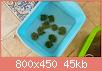        

:  20160703_153336.jpg
:  412
:  45,0 KB