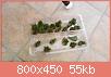         

:  20160703_153340.jpg
:  404
:  55,2 KB