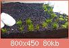         

:  20160703_162847.jpg
:  423
:  80,5 KB