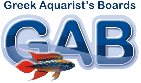 Greek Aquarist's Boards -       