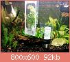         

:  plants.jpg
:  326
:  91,6 KB
