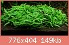         

:  H.sp.PortoVelho1.JPG
:  315
:  149,2 KB
