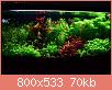         

:  13658963_10154335500983522_2094768086526558038_n.jpg
:  239
:  69,6 KB