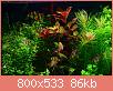         

:  13620274_10154335501613522_4172057700993077968_n.jpg
:  212
:  85,8 KB