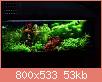         

:  13600037_10154335500763522_6232595866211342418_n.jpg
:  211
:  53,3 KB