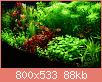         

:  13592812_10154335501238522_7677549490909701985_n.jpg
:  211
:  87,5 KB
