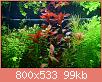         

:  13606468_10154335524383522_863435565480550139_n.jpg
:  202
:  98,8 KB