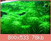         

:  13606673_10154335525223522_6537243830229707419_n.jpg
:  207
:  78,1 KB