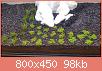         

:  20160711_202437.jpg
:  371
:  98,5 KB