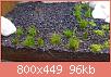         

:  20160711_202440.jpg
:  369
:  95,6 KB