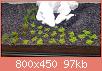         

:  20160711_202435.jpg
:  335
:  96,8 KB
