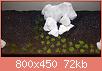         

:  20160712_172321.jpg
:  350
:  72,1 KB