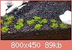         

:  20160711_202448.jpg
:  370
:  88,9 KB