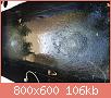         

:  IMG_0108.jpg
:  516
:  105,7 KB