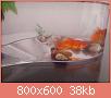         

:  received_10155062015473858.jpg
:  172
:  37,9 KB