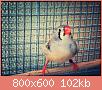         

:  aviary-image-1469797948924.jpg
:  228
:  102,2 KB