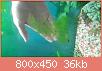         

:  20161001_163825.jpg
:  696
:  36,2 KB
