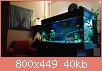         

:  IMG_20161004_184055.jpg
:  601
:  39,6 KB