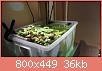         

:  IMG_20161005_195059.jpg
:  656
:  36,3 KB