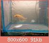         

:  fish 1.jpg
:  657
:  90,8 KB