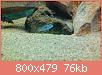         

:  Lenovo_A1000_IMG_20161021_145119.jpg
:  292
:  76,2 KB