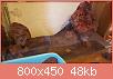         

:  20161022_165000.jpg
:  341
:  47,9 KB