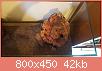         

:  20161022_165005.jpg
:  323
:  42,1 KB