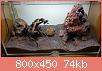         

:  20161022_171323.jpg
:  332
:  73,5 KB