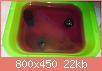         

:  20161022_190613.jpg
:  329
:  22,1 KB
