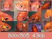         

:  ich.jpg
:  216
:  43,0 KB