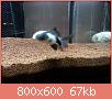         

:  20161115_191044.jpg
:  181
:  66,7 KB