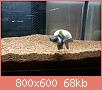         

:  20161115_191026_HDR.jpg
:  183
:  68,0 KB